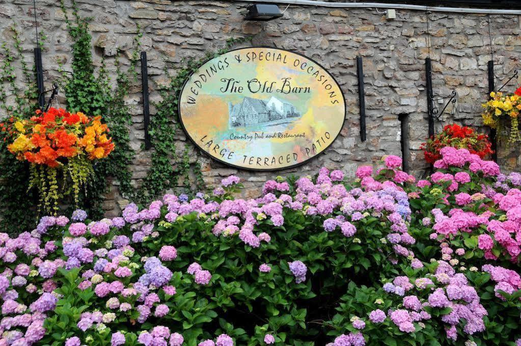 The Old Barn Inn Newport  Luaran gambar